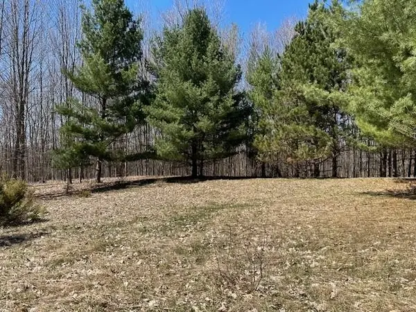 Lots D & E SE Torch Lake, Bellaire, MI 49615