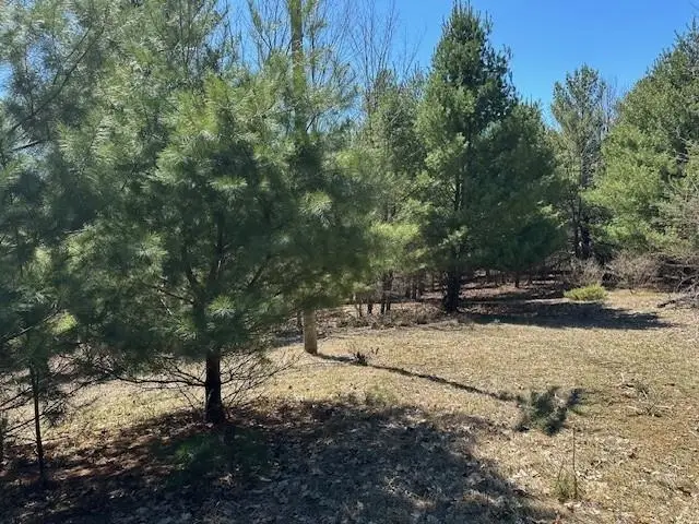 Lots B & C SE Torch Lake, Bellaire, MI 49615 - #1