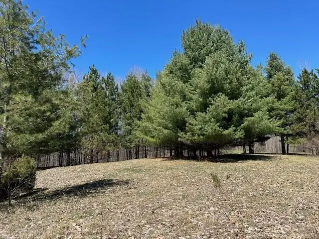 Lots B & C SE Torch Lake, Bellaire, MI 49615 - #2