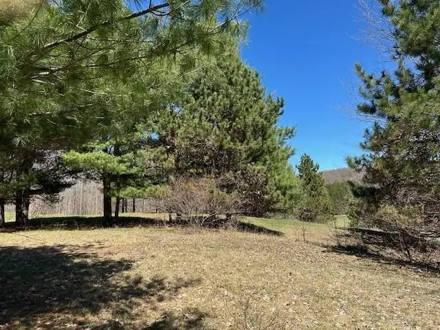 Lots B & C SE Torch Lake, Bellaire, MI 49615 - #3