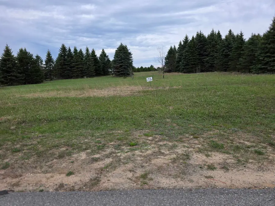 31 SE Blue Heron, Kalkaska, MI 49646 - #2
