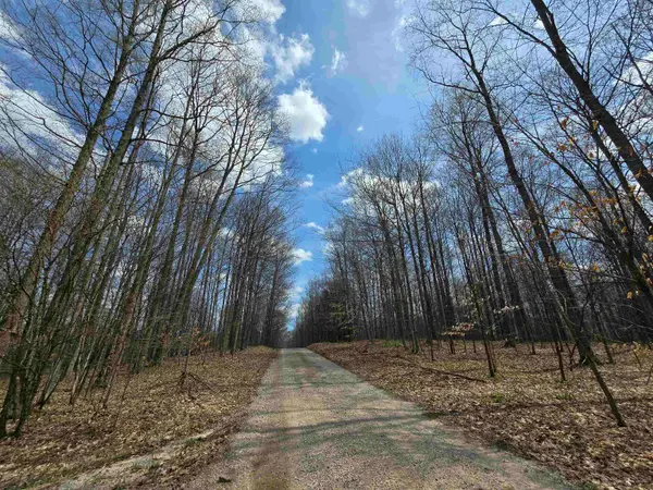 00 W 20, Mesick, MI 49668