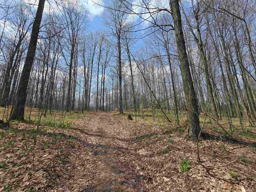 00 W 20, Mesick, MI 49668 - #3