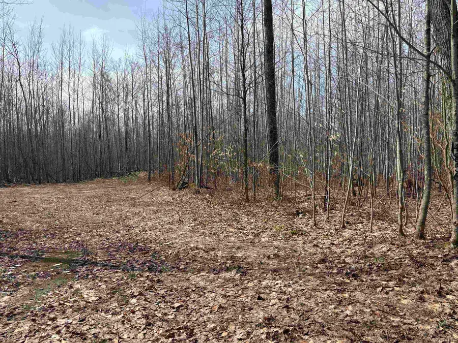 4856 Star Chief, Mancelona, MI 49659 - #2