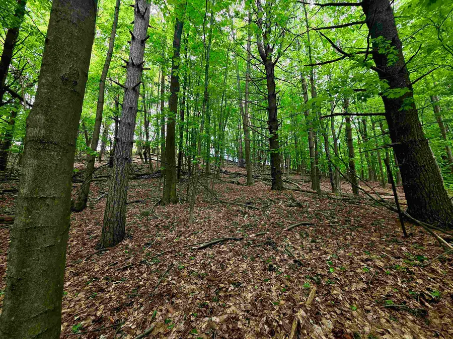 00 Sugar Bush, Kewadin, MI 49648 - #3