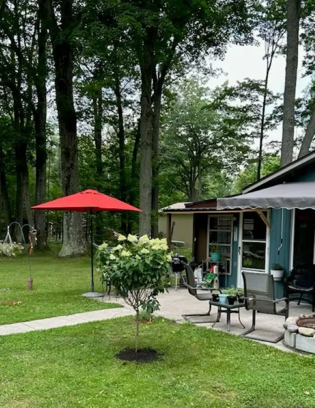 4355 Owl, Lincoln, MI 48742 - #2