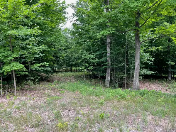 11 W Timber View, Empire, MI 49630