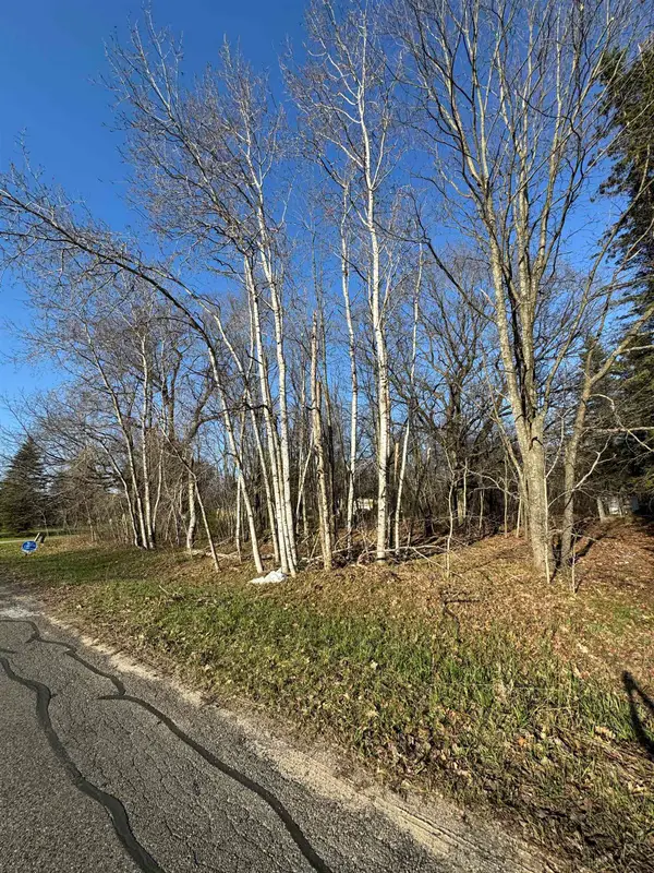 3603 Cecil, Cadillac, MI 49601