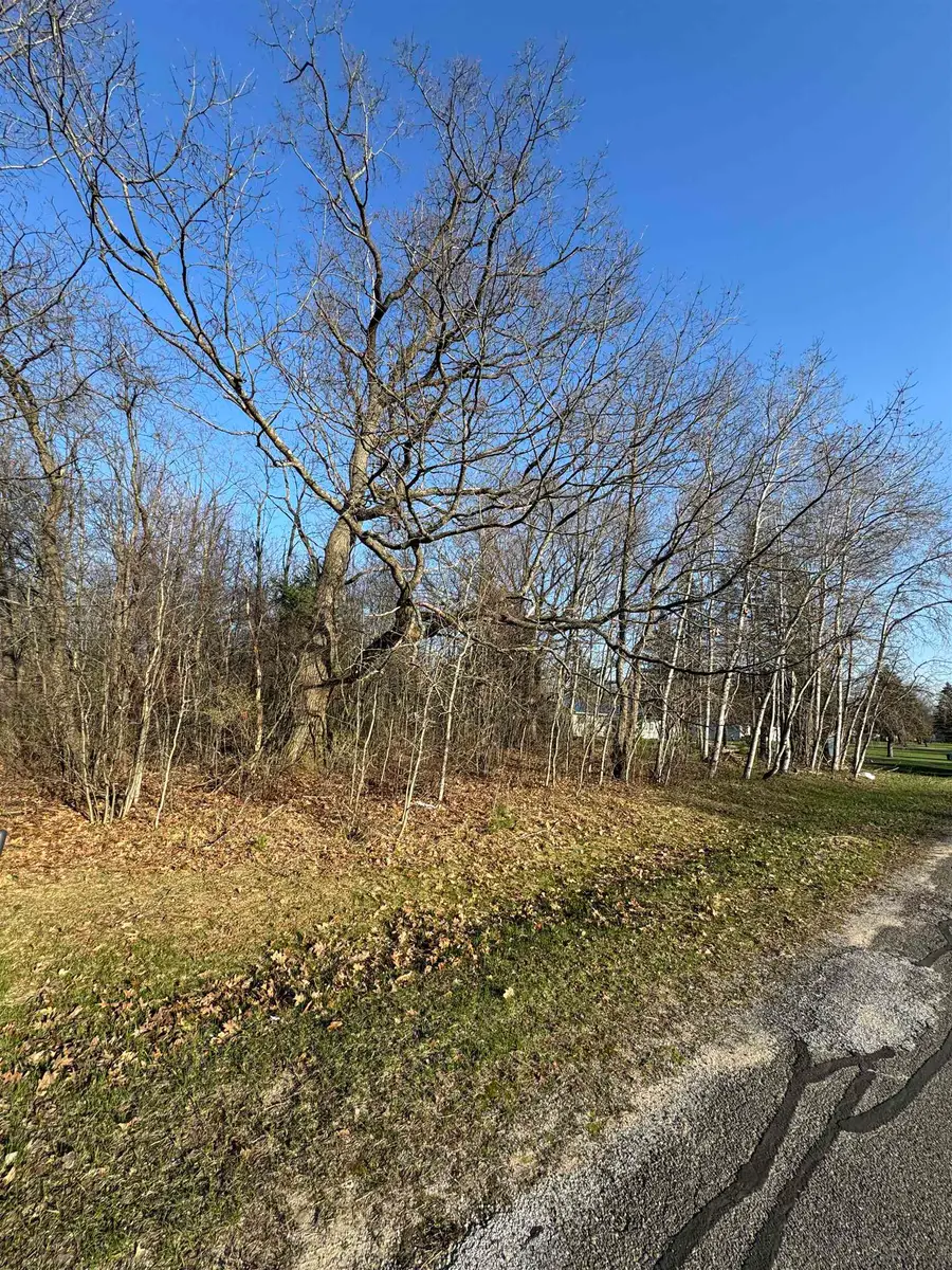 3603 Cecil, Cadillac, MI 49601 - #2