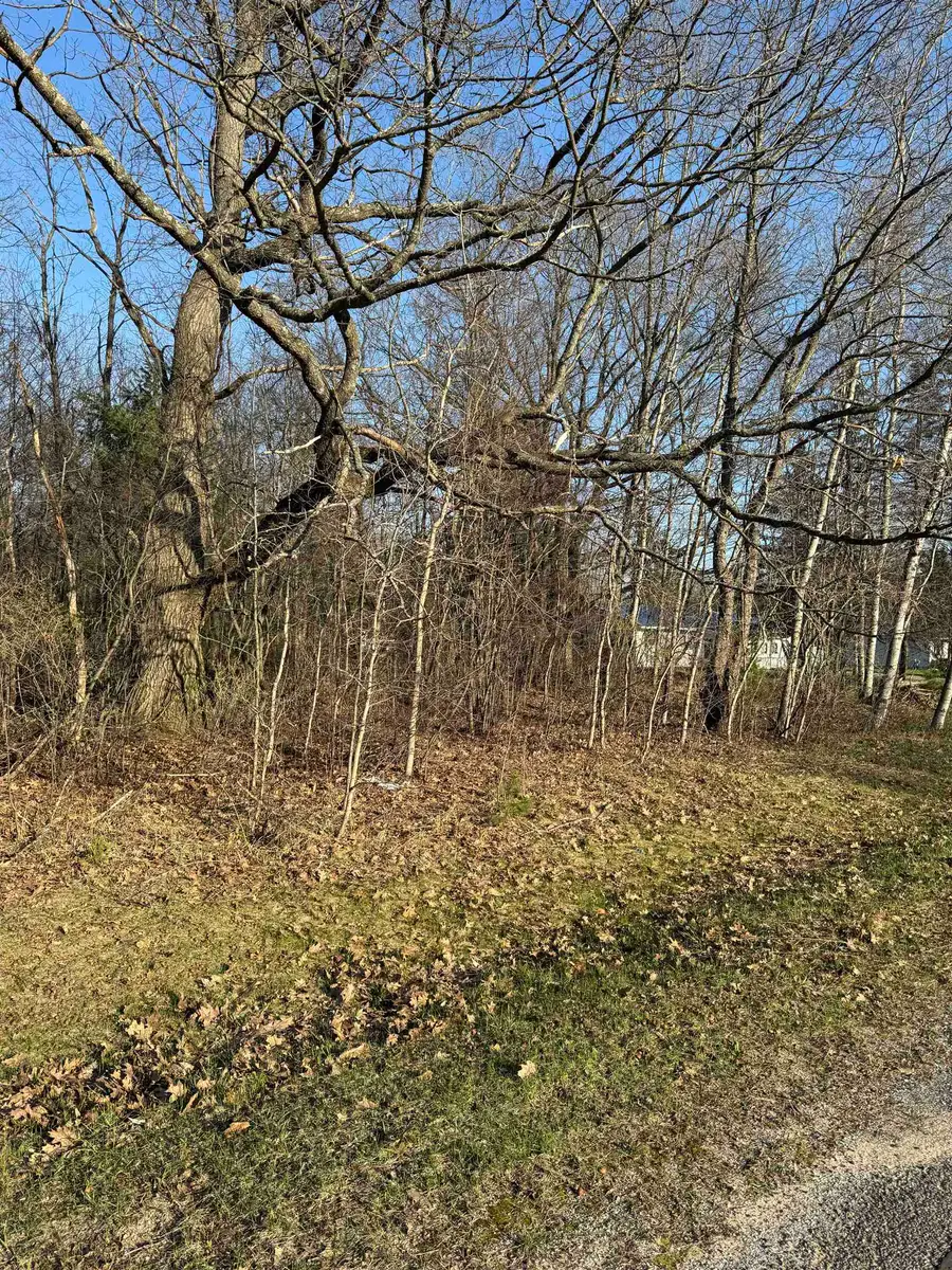 3603 Cecil, Cadillac, MI 49601 - #3