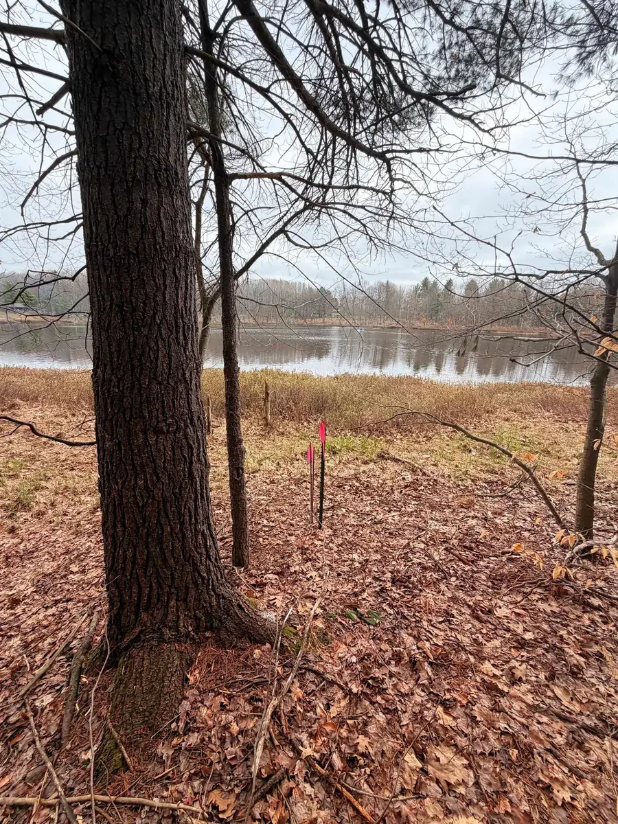 03 Woodland, Traverse City, MI 49684 - #2