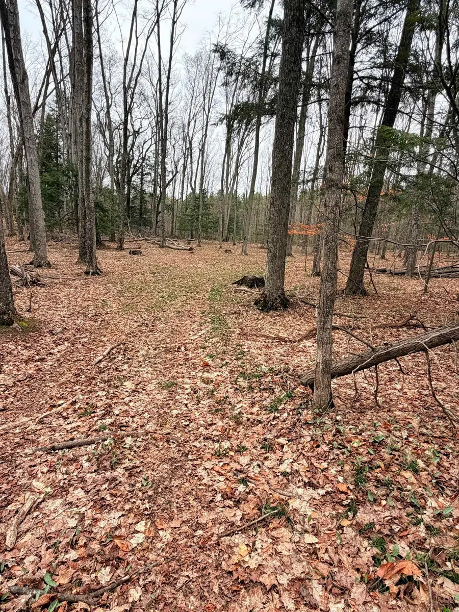03 Woodland, Traverse City, MI 49684 - #3