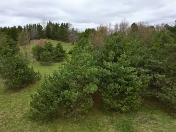 00 W County Line, Thompsonville, MI 49683