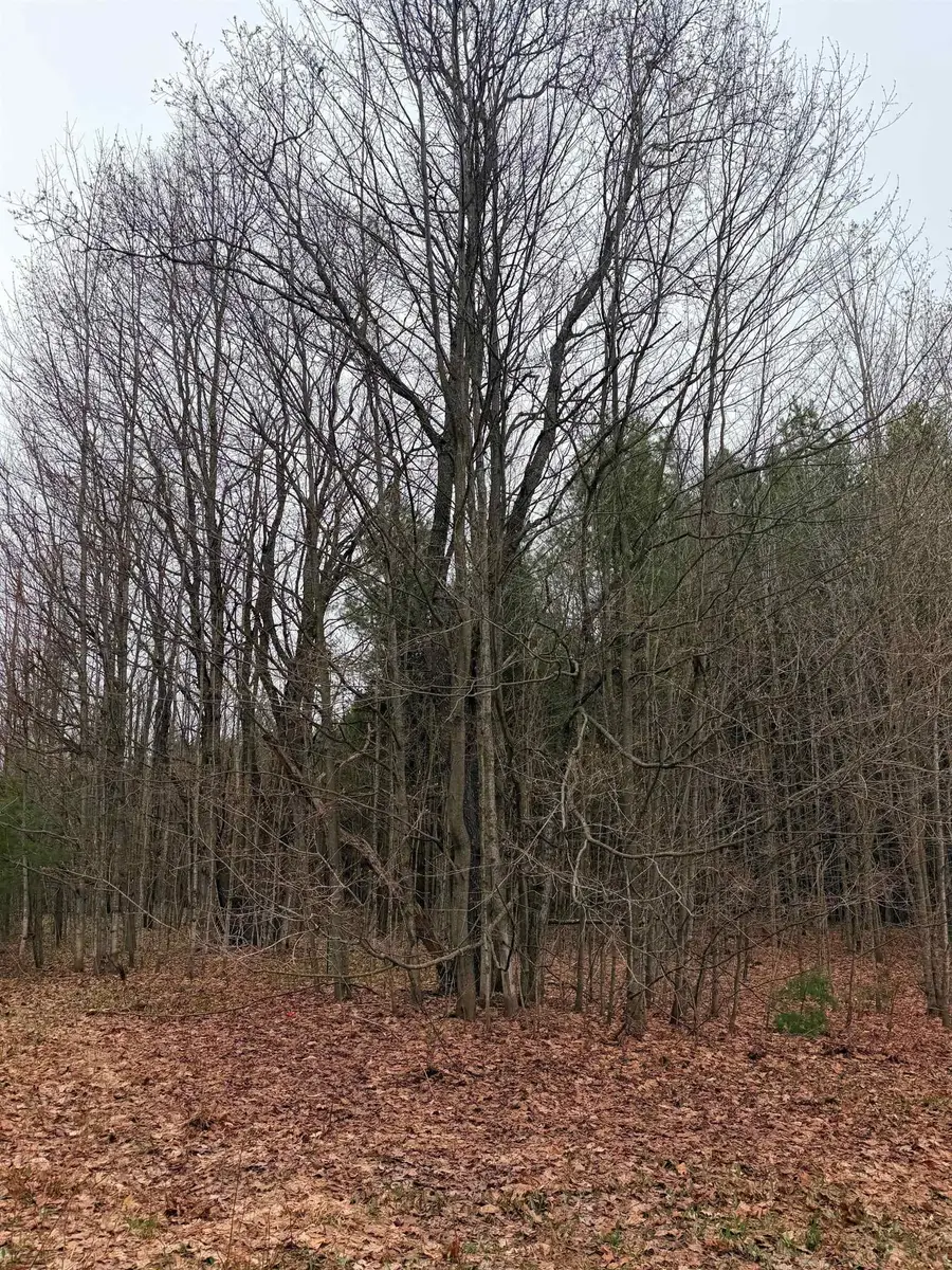02 Woodland, Traverse City, MI 49684 - #2