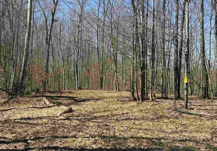 Parcel C Honey Hollow, Bellaire, MI 49615 - #3