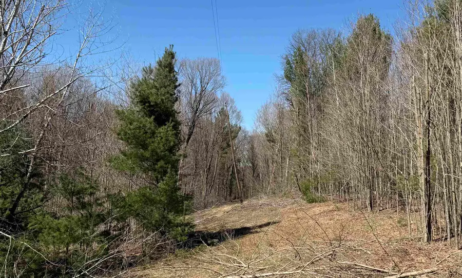 Parcel E Orchard Hill, Bellaire, MI 49615 - #2