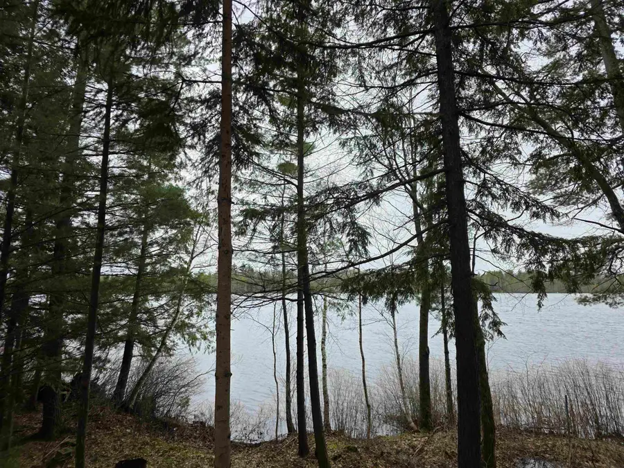 1134 SE East Lake #Lot: 4, Kalkaska, MI 49646 - #3