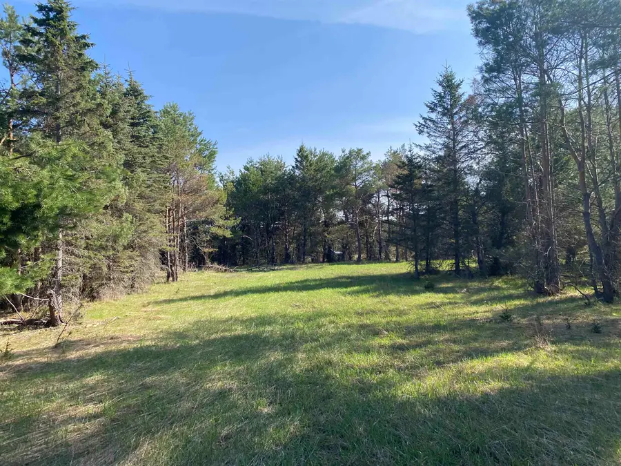Lot 5 Green Acres, Buckley, MI 49620 - #3