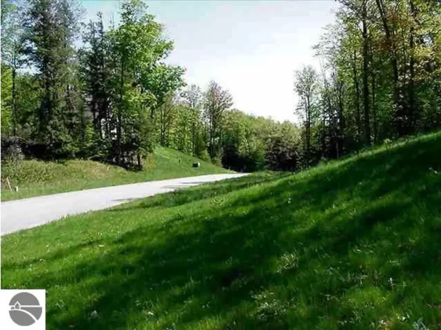 VL#7 Timber Valley, Kewadin, MI 49648 - #2