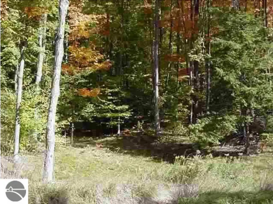 VL#7 Timber Valley, Kewadin, MI 49648 - #3