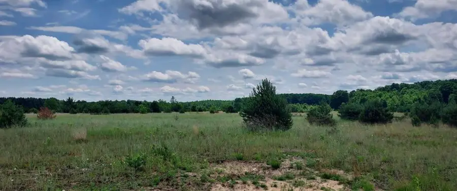 Lot L E Sparling, Kingsley, MI 49649 - #3
