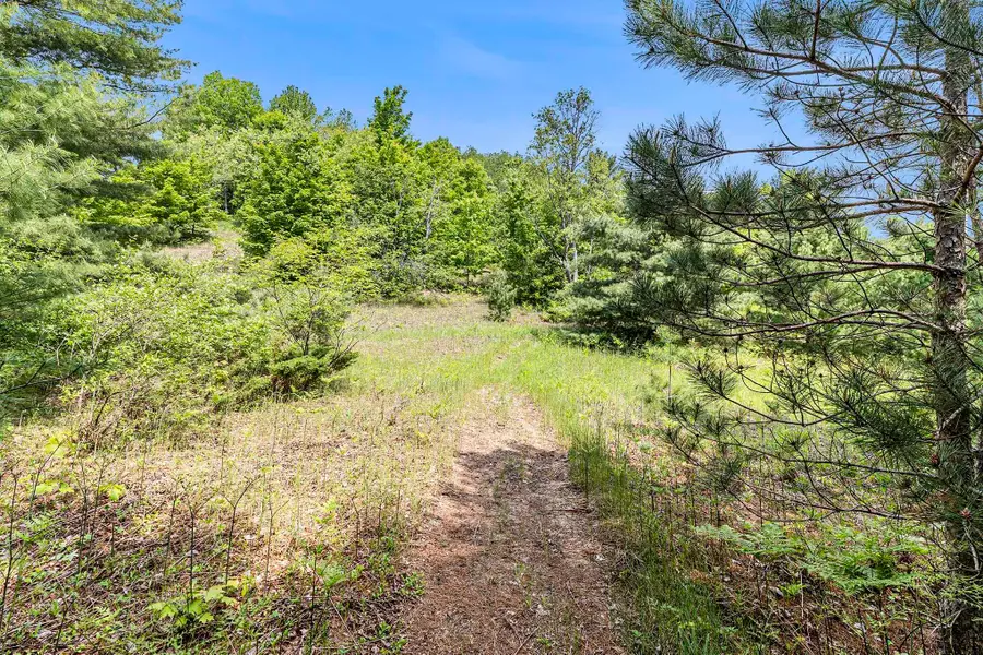 00 1A East Traverse, Traverse City, MI 49684 - #2