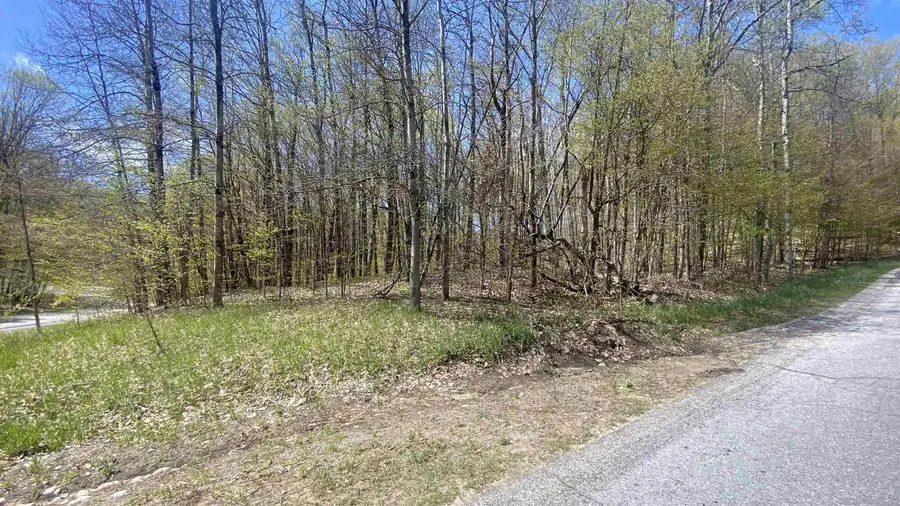 Lot 105-106 East Village, Bellaire, MI 49615 - #2