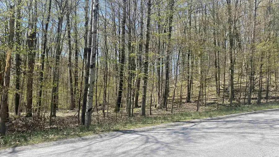 Lot 105-106 East Village, Bellaire, MI 49615 - #3