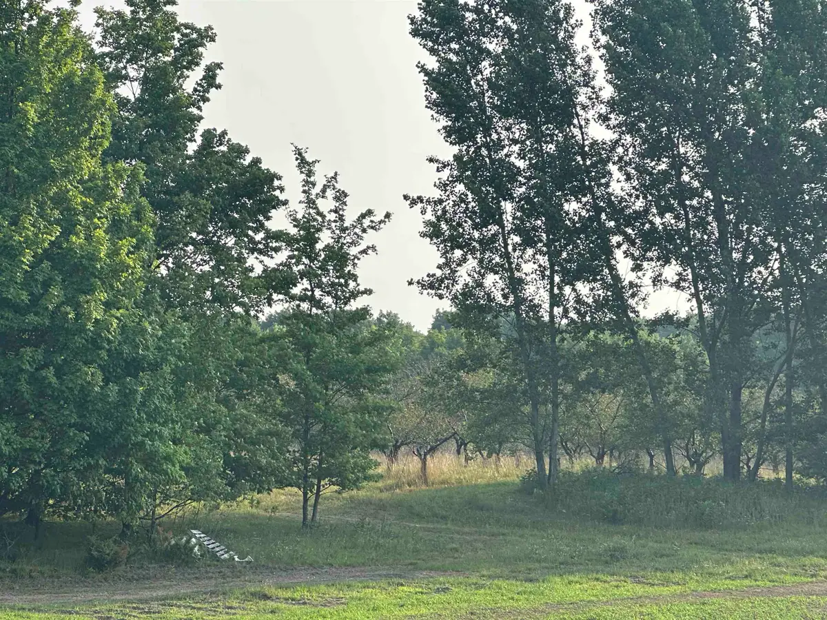 Parcel 10 Karnes, Glen Arbor, MI 49636 - #1