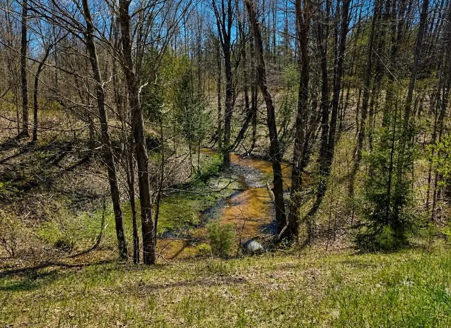 4411 N 11, Mesick, MI 49668 - #2