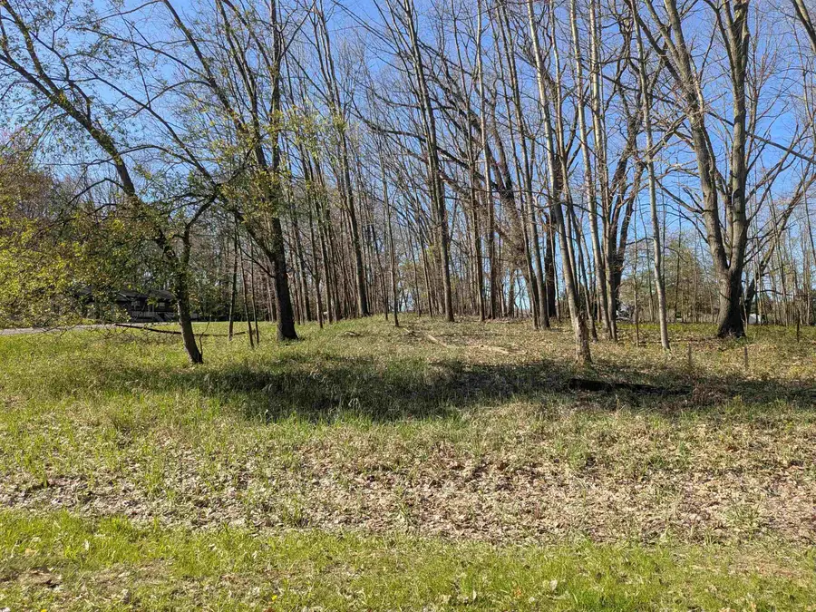 1048 Bundy, Lake Isabella, MI 48893 - #3