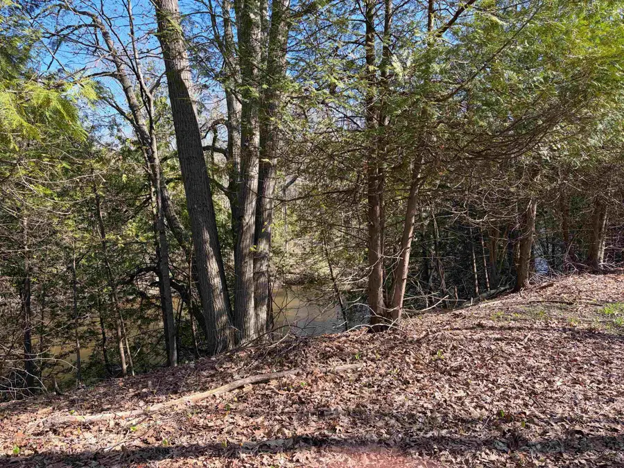 TBD S Loomis, Mount Pleasant, MI 48858 - #3