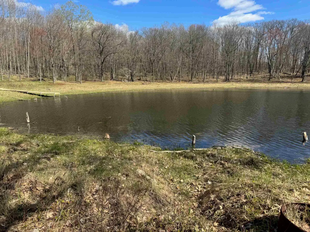 10311 Alpine, Reed City, MI 49677 - #1