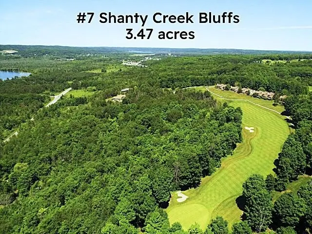07 Creek Hill, Bellaire, MI 49615 - #1