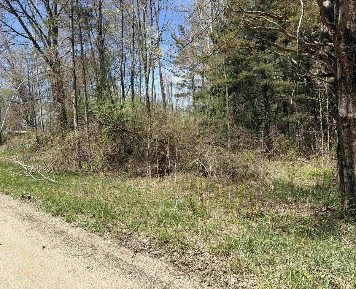 11310 W Rosebush, Weidman, MI 48893 - #1