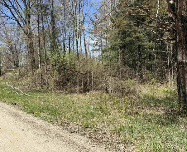 11310 W Rosebush, Weidman, MI 48893