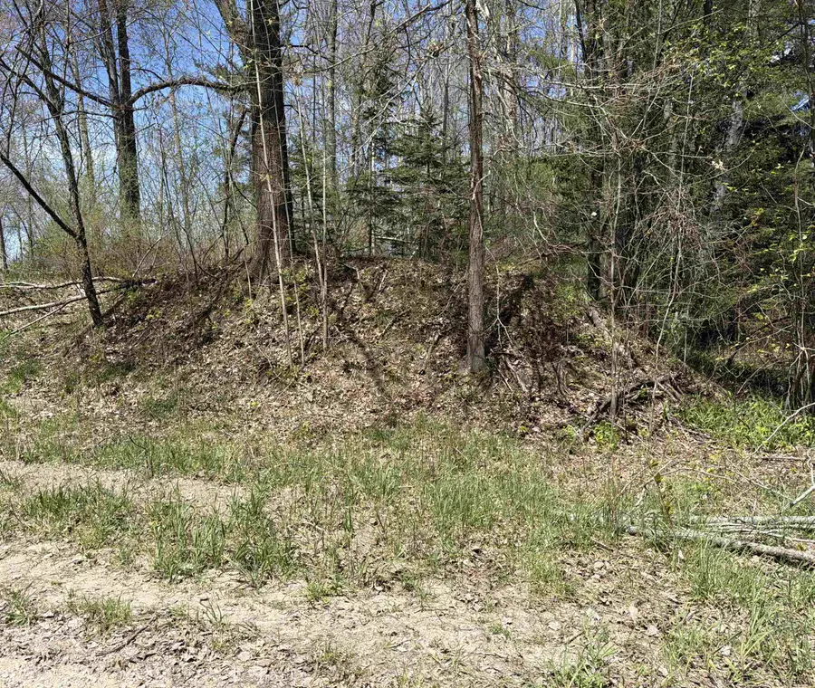 11310 W Rosebush, Weidman, MI 48893 - #2