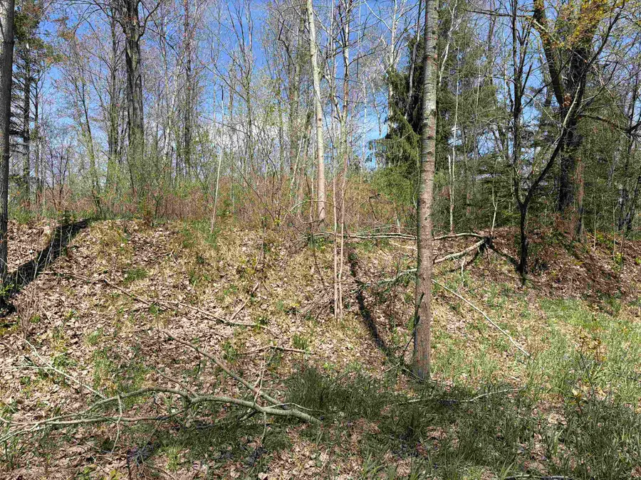 11310 W Rosebush, Weidman, MI 48893 - #3