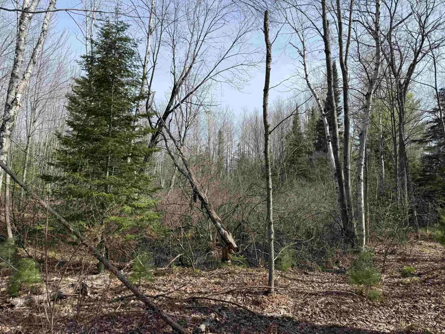 0 Michaud, Mikado, MI 48745 - #2