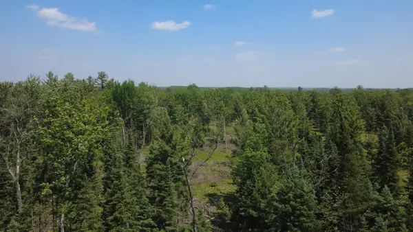 x Oleskie, West Branch, MI 48661