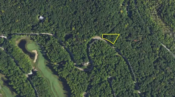 Lot 218 Hawks Eye, Bellaire, MI 49615