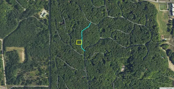 Lot 29 Off Heideldorf, Bellaire, MI 49615