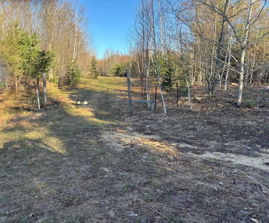 00 Forward, Lake City, MI 49651 - #2