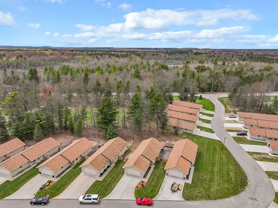 9811 Deer Track, Interlochen, MI 49643 - #2