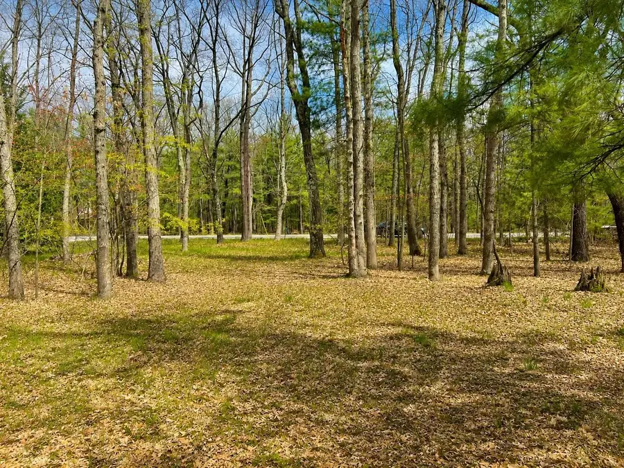 5302 Karlin, Interlochen, MI 49643 - #2