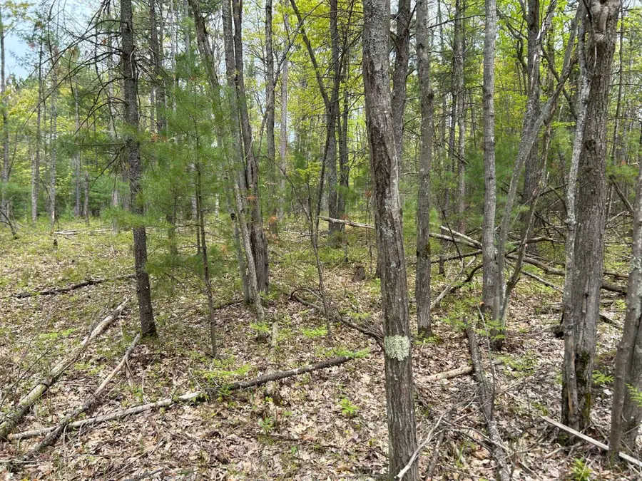 TBD Muncie View, Traverse City, MI 49696 - #3