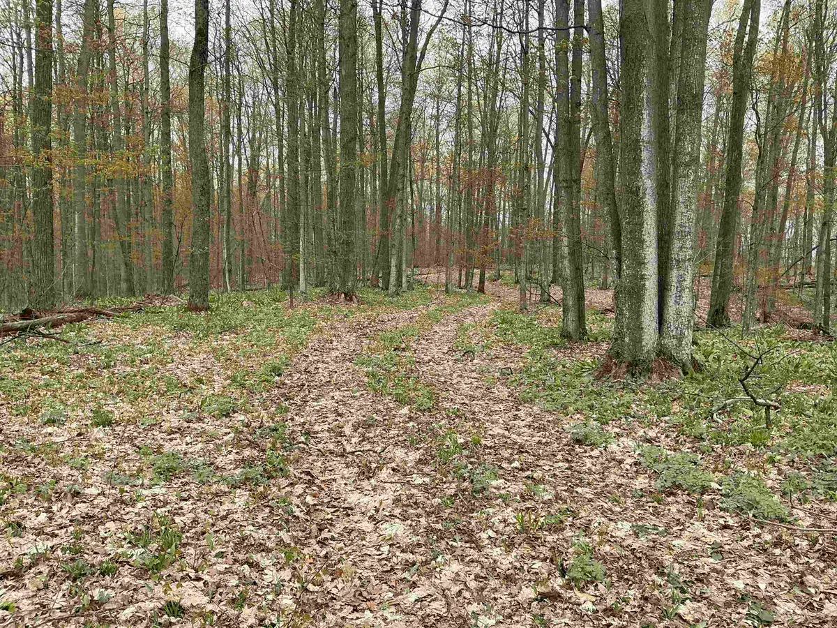 20 Acres Zimmerman, Clearwater, MI 49676 - #1