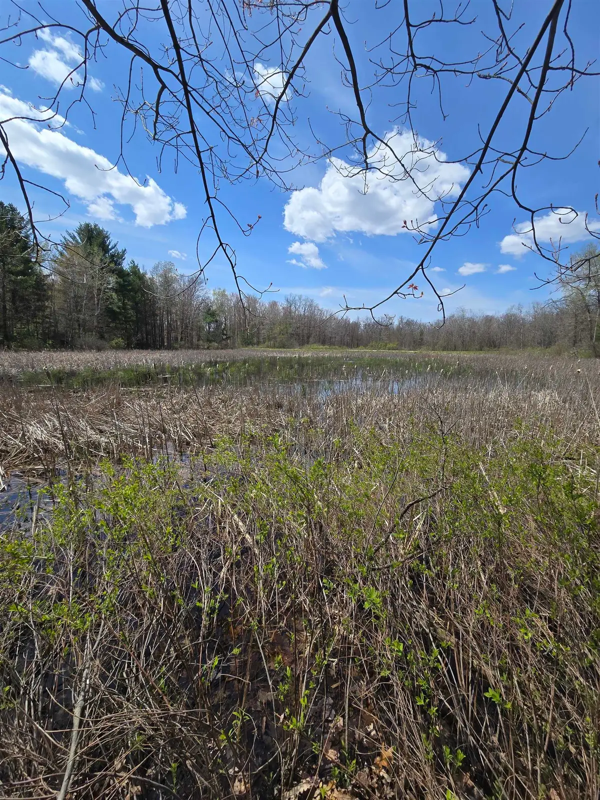 TBD E Baseline, White Cloud, MI 49349 - #1