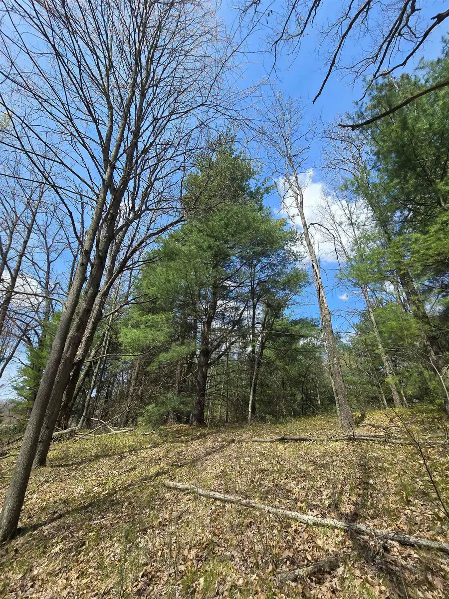 TBD E Baseline, White Cloud, MI 49349 - #2