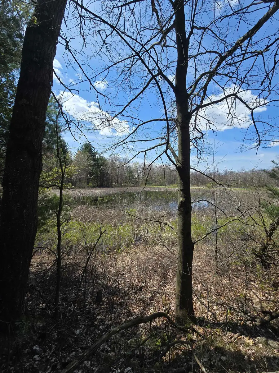 TBD E Baseline, White Cloud, MI 49349 - #3